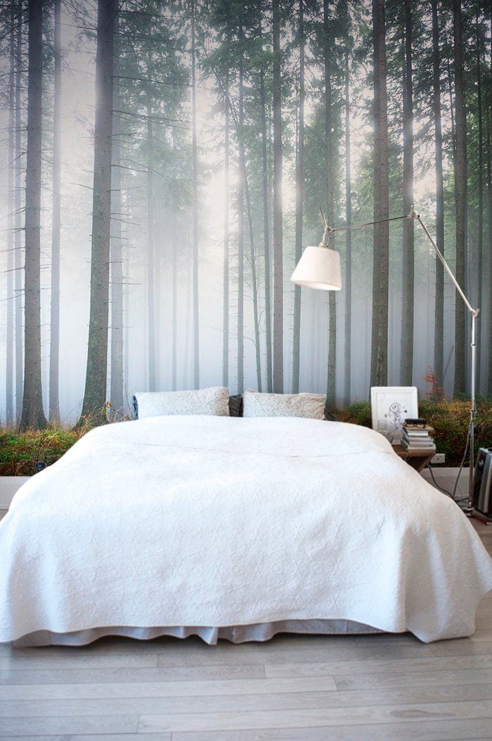 11 Forest Wallpapers That Will Breathe Life Into Your Home Murals Wallpaper